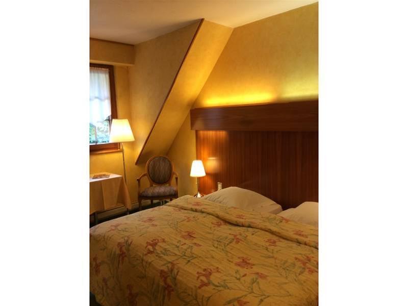 Domaine Le Moulin Hotel Ottrott Exterior foto